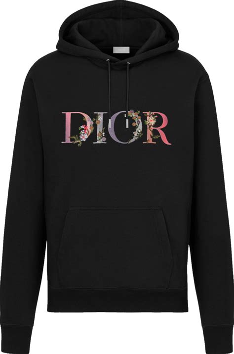 dior hoodie cheap